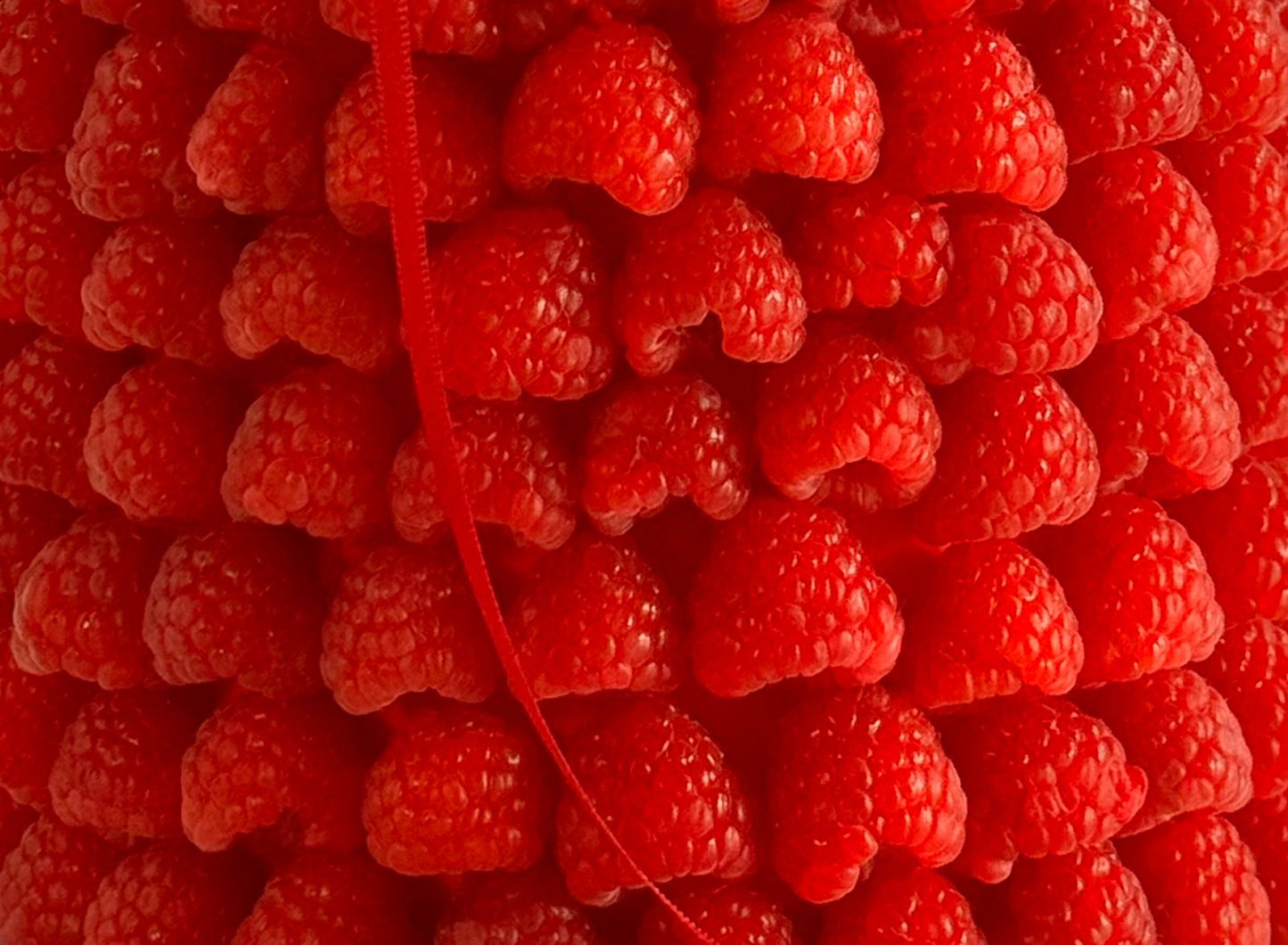 Raspberry